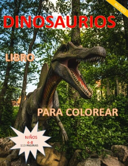 DINOSAURIOS LIBRO PARA COLOREAR